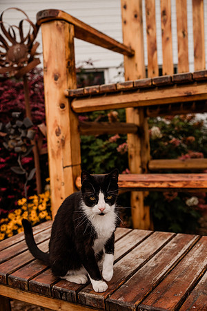 DSC_4923