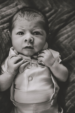 DSC_2493bw