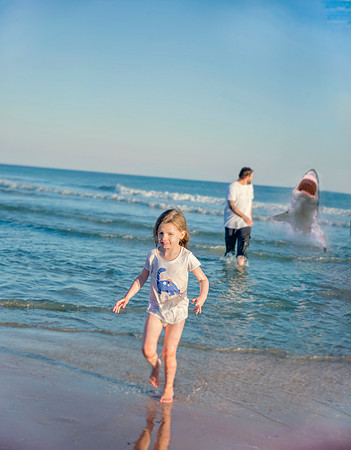 DSC_3328-shark