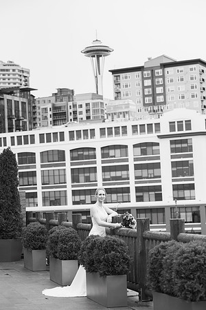 DSC_1579bw