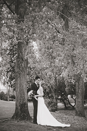 DSC_5102bw