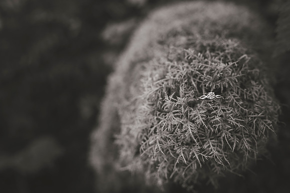 DSC_0229bw