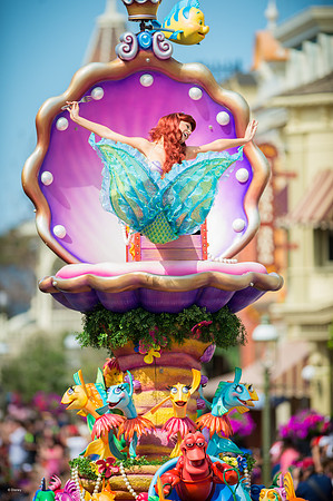 MK_MK_20160229_7650655298