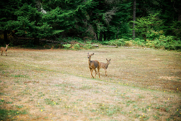 DSC_6029