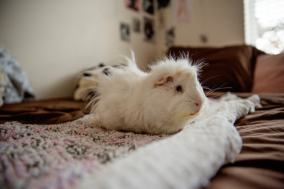 DSC_5859