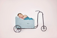 Blue Garden Cart