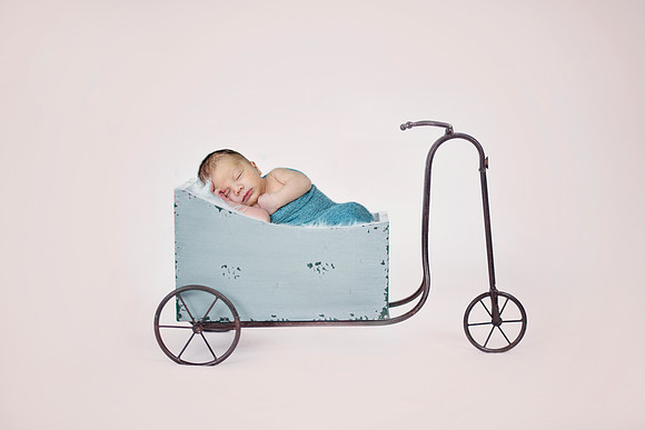 Blue Garden Cart