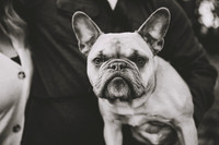 DSC_8354bw