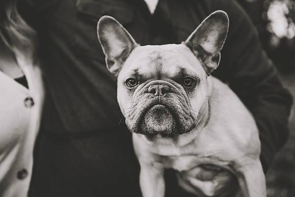 DSC_8354bw