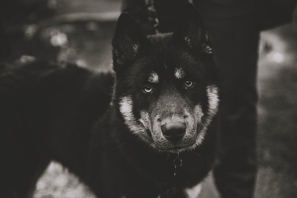 DSC_7648bw