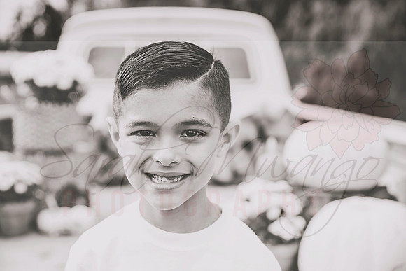 DSC_6274bw