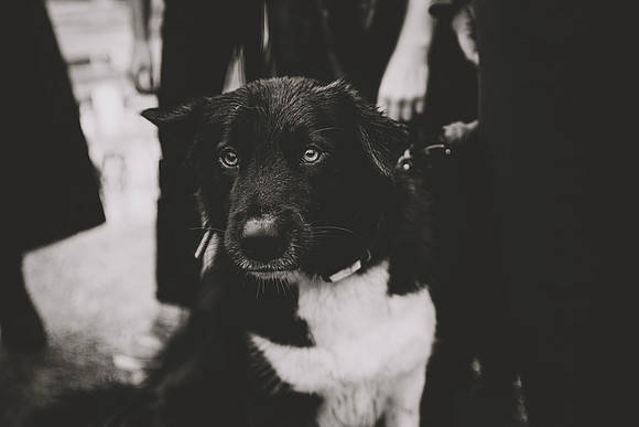DSC_7632bw