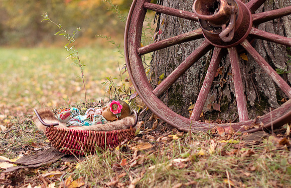 Autumn Blessings
