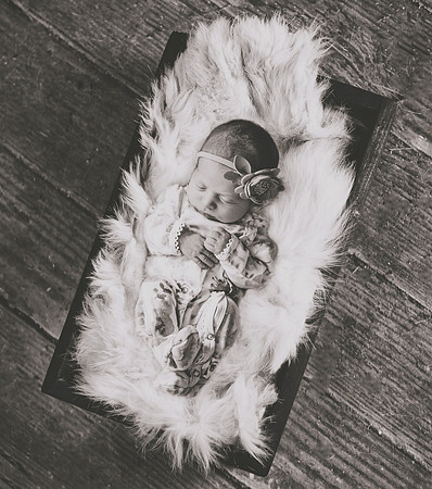 Barn Floorbw