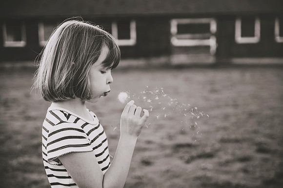 DSC_4530bw