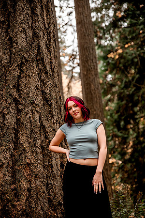 DSC_3986