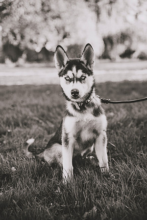 DSC_5843bw