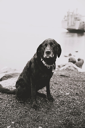 DSC_1839bw