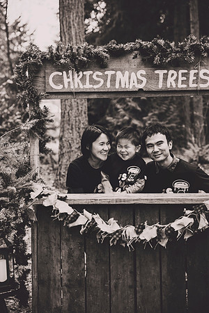 DSC_2796bwbrowntint