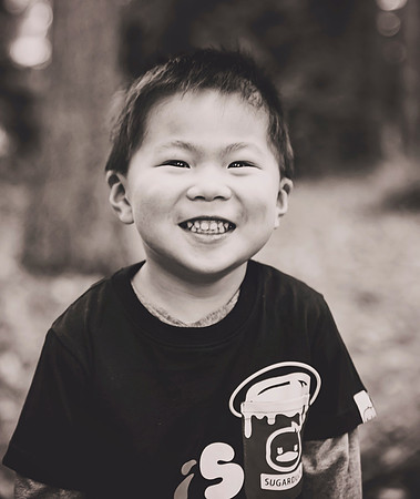 DSC_2832bwbrowntint