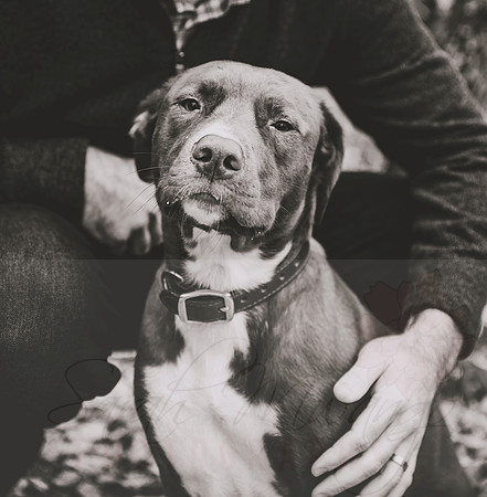 DSC_3679bw