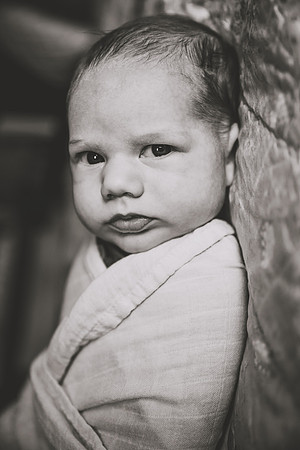 DSC_2409bw