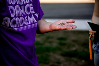 DSC_3904-cheeky frog