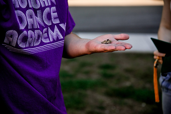 DSC_3904-cheeky frog