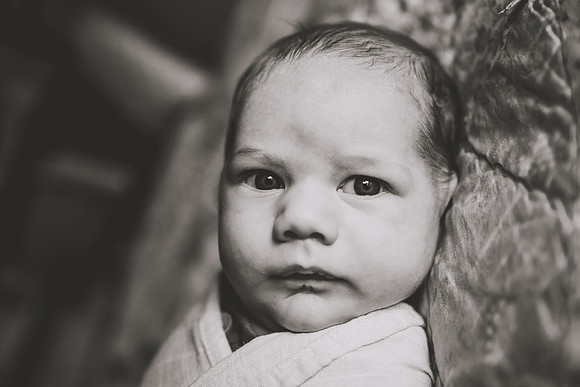DSC_2406bw